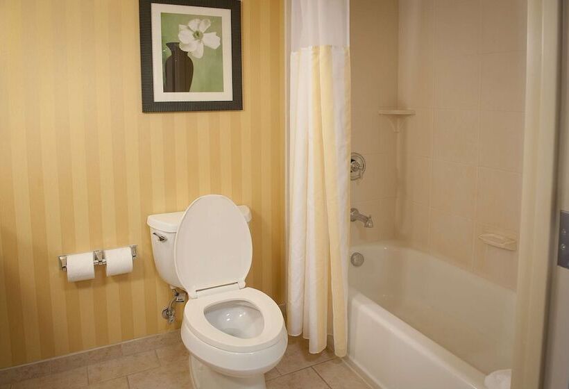 غرفة قياسية, Hilton Garden Inn Pensacola Airport Medical Center