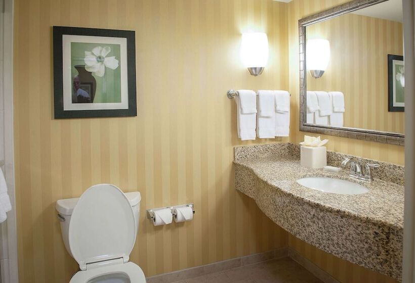 غرفة قياسية, Hilton Garden Inn Pensacola Airport Medical Center