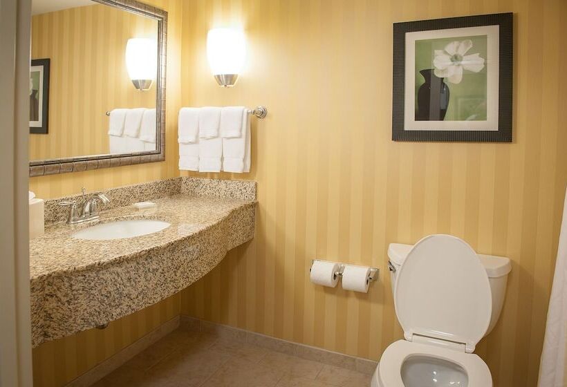 Номер Стандарт, Hilton Garden Inn Pensacola Airport Medical Center