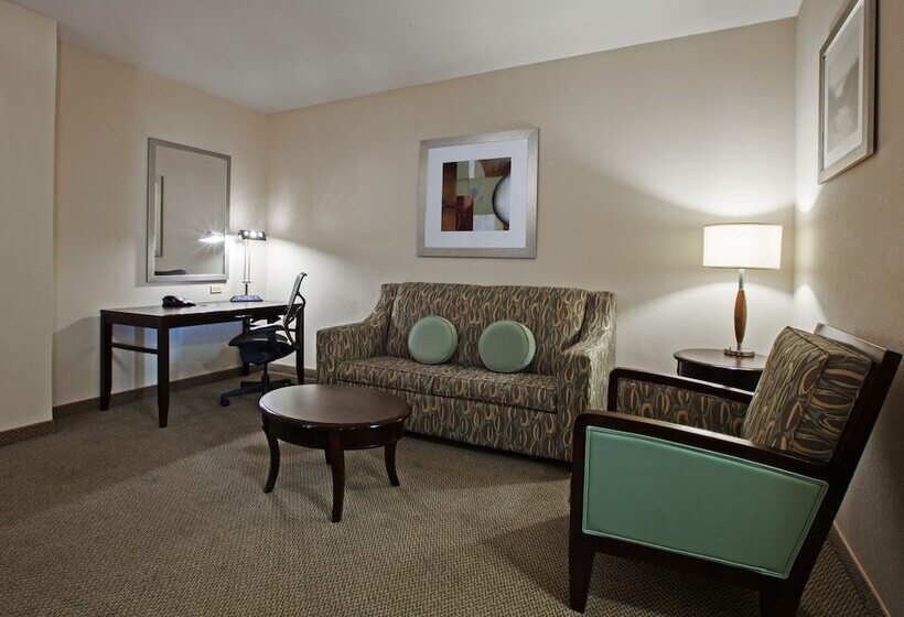 Junior Suite Aangepast voor Gehandicapten, Hilton Garden Inn South Padre Island Beachfront