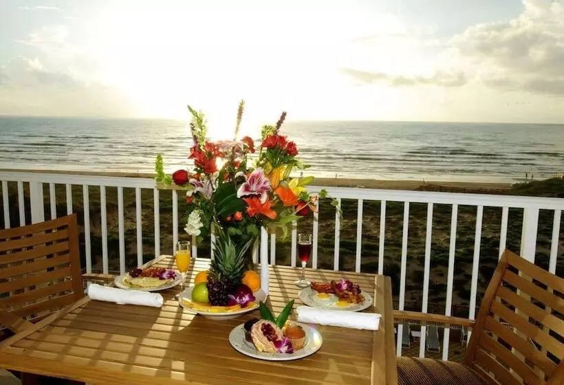 シングルデラックスルーム, Hilton Garden Inn South Padre Island Beachfront