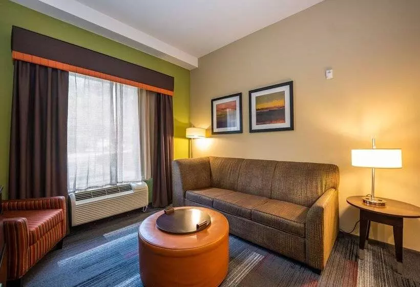 スイート, Homewood Suites By Hilton Birmingham Sw Riverchase Galleria