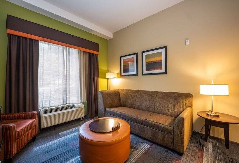 Люкс Адаптированный для Инвалидов, Homewood Suites By Hilton Birmingham Sw Riverchase Galleria