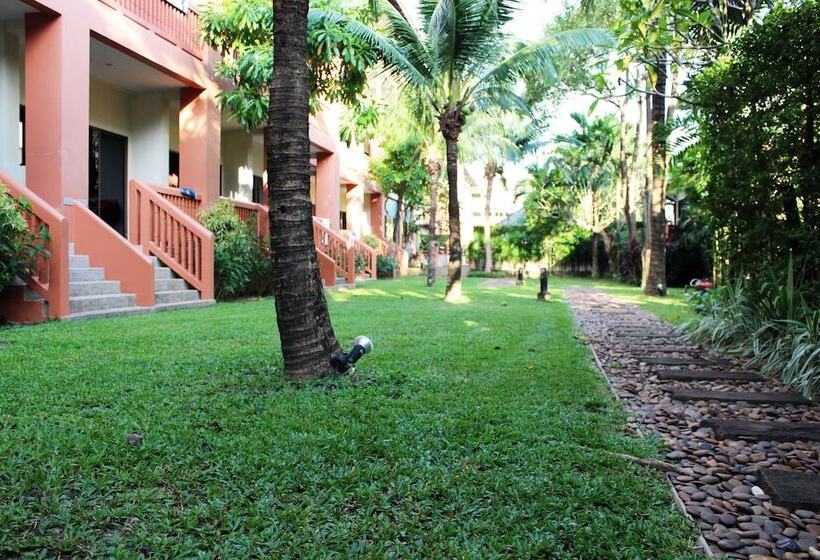 Standard Szoba, Kata Sea Breeze Resort   Sha Plus