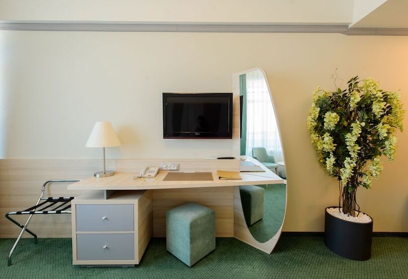 غرفة قياسية مطلة على المدينة, Malibu Mamaia