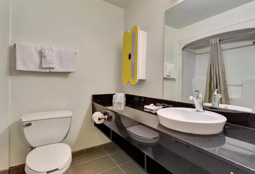 Standard-huone, Motel 6 Belmont, Ca San Francisco Redwood City