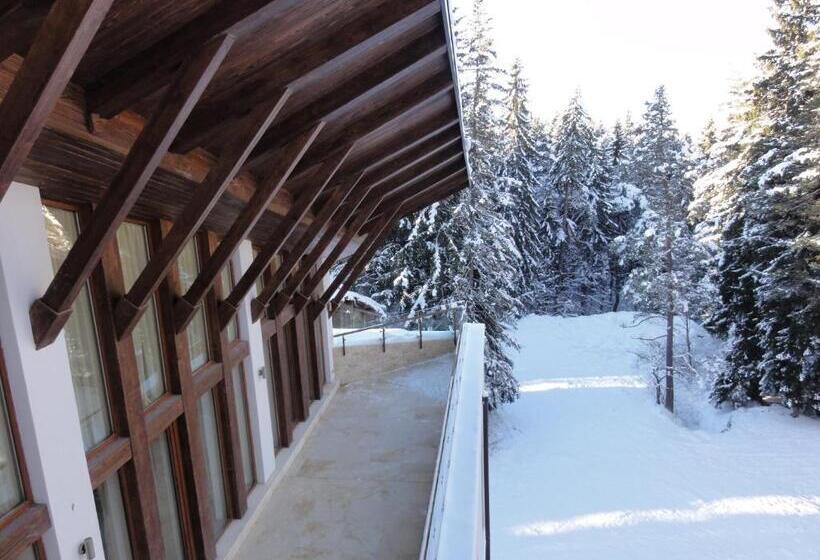 Люкс Superior, Radina's Way Hotel