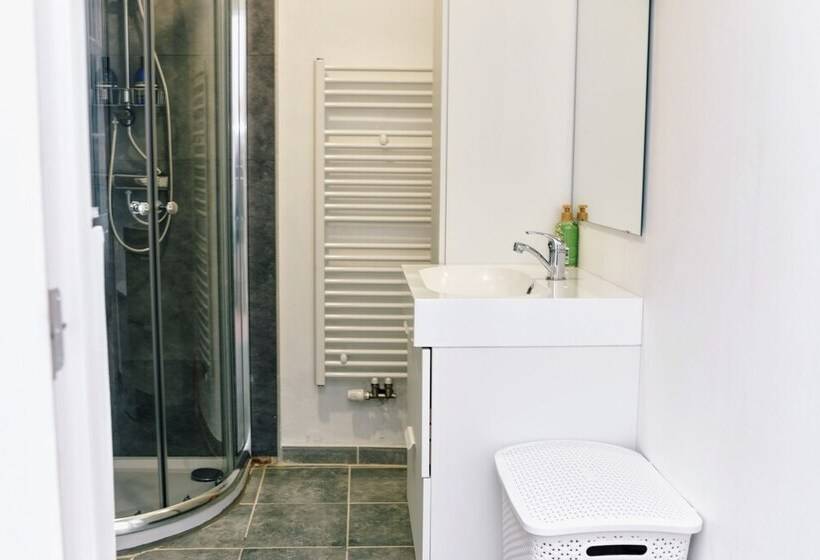 استودیوی استاندارد, Bed Collège