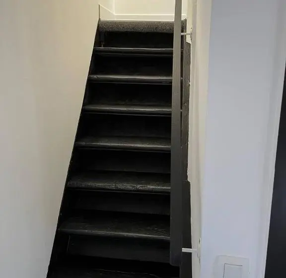 استودیوی استاندارد, Bed Collège