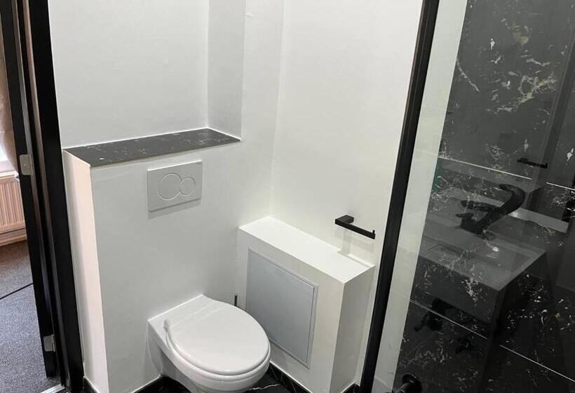 استودیوی استاندارد, Bed Collège