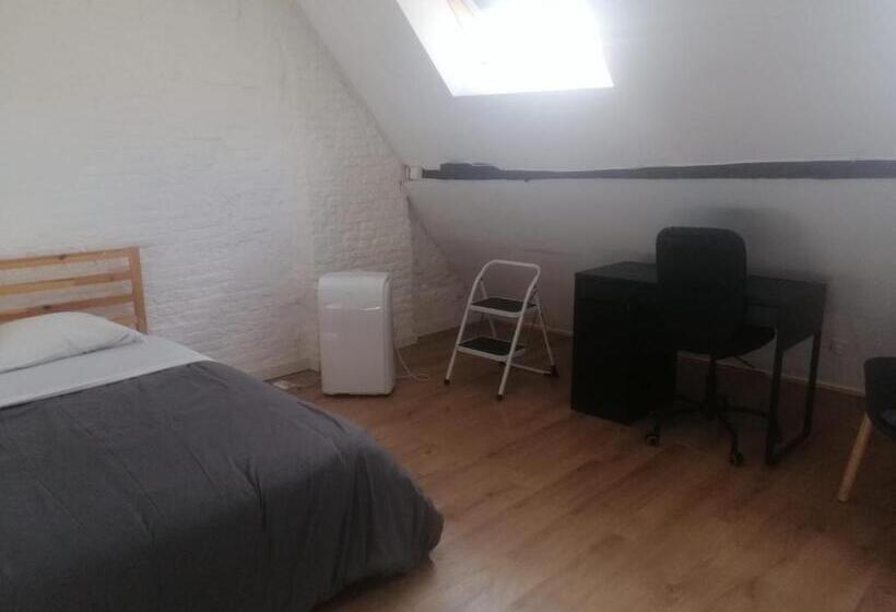 اتاق استاندارد با سرویس بهداشتی مشترک, Bed Collège