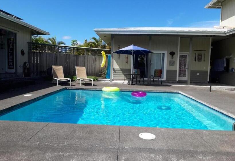 غرفة قياسية مطلّة علي حمام السباحة, Hale Paradise