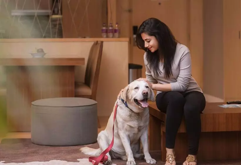 1ベッドルームアパートメント, Hyatt Regency Pune Hotel & Residences