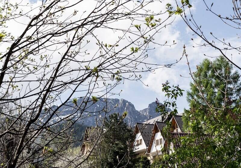 اتاق استاندارد سه نفره, Szarotka