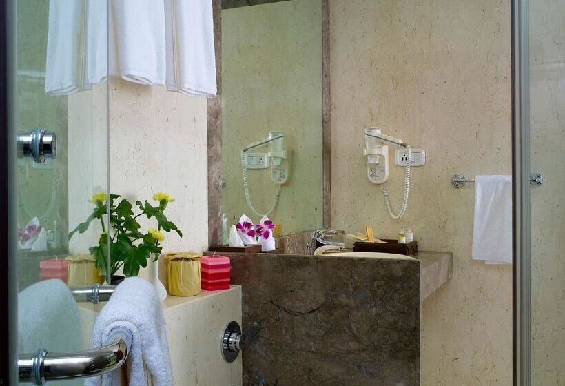 استودیوی استاندارد, The Paul Bangalore