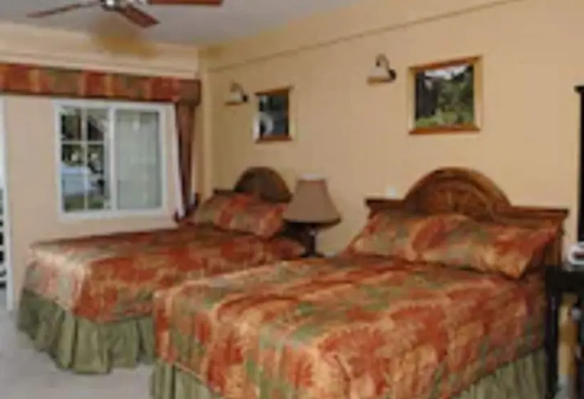 اتاق سوپریور با چشم‌انداز دریا, Kalinago Beach Resort