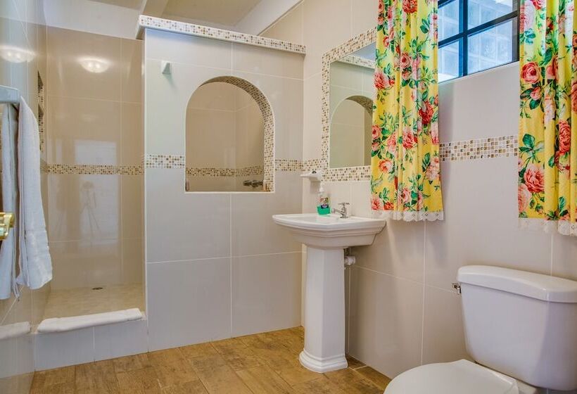 Номер Стандарт, Midas Belize