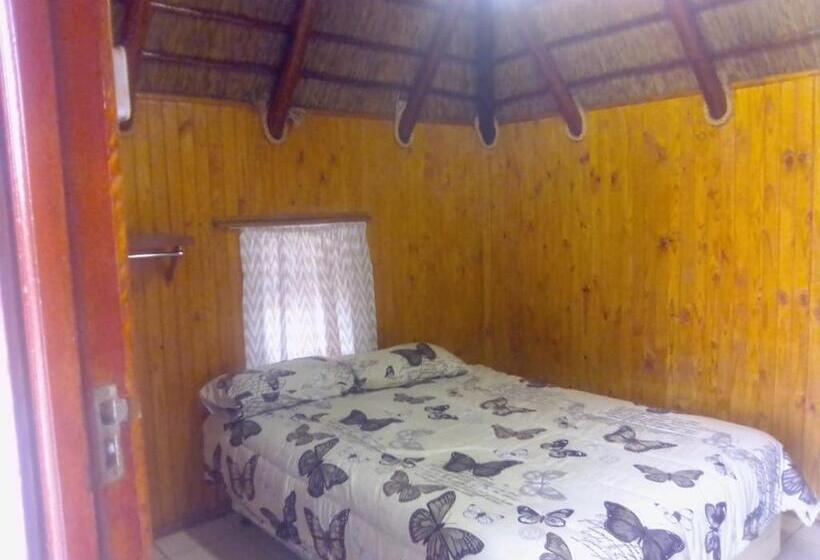 シャレー1寝室, Arendsnes