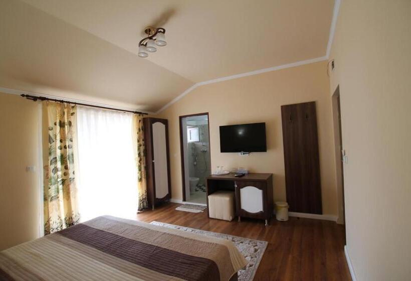 חדר סטנדרט נוף לבריכה, Casa Camelia Felix