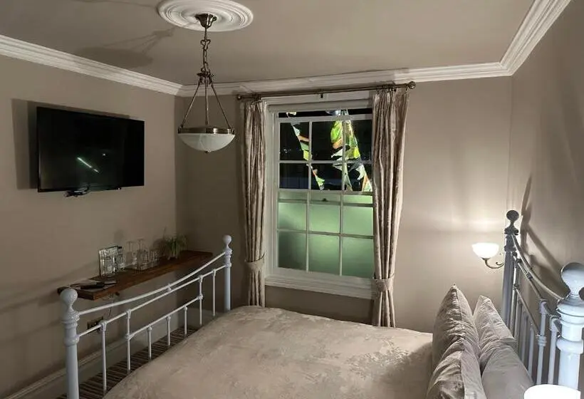 Standard Værelse, The Beetroot