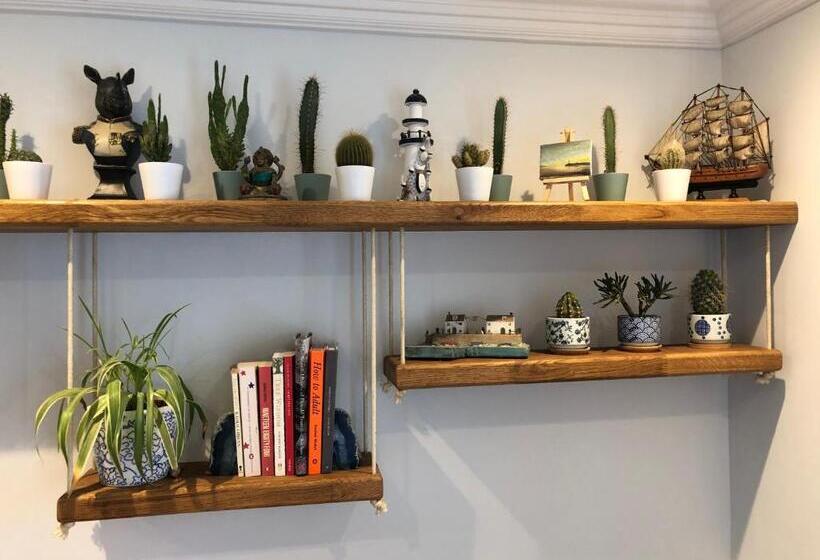 Студия Стандарт, The Beetroot