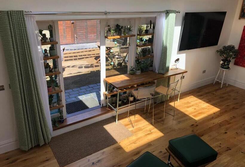 Студио Стандарт Вид на Сад, The Beetroot