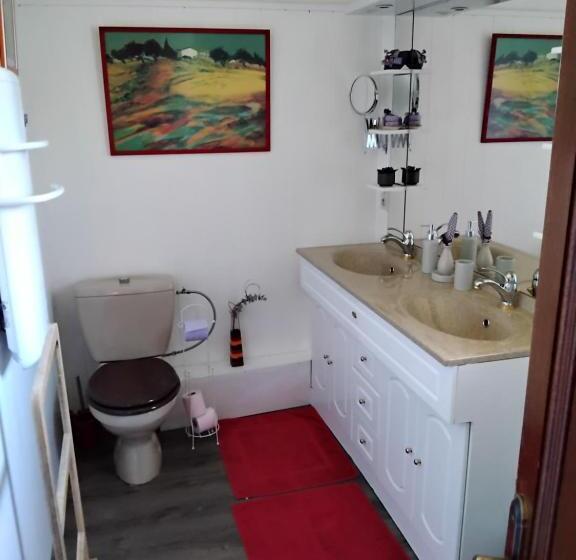 エコノミールーム, Le Violet