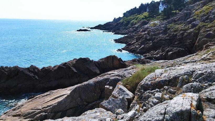 סוויטה, Les 3 Koïs