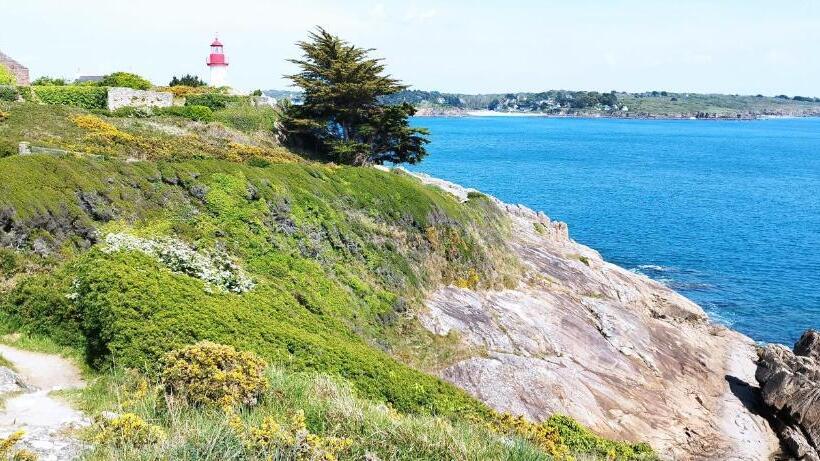 סוויטה, Les 3 Koïs