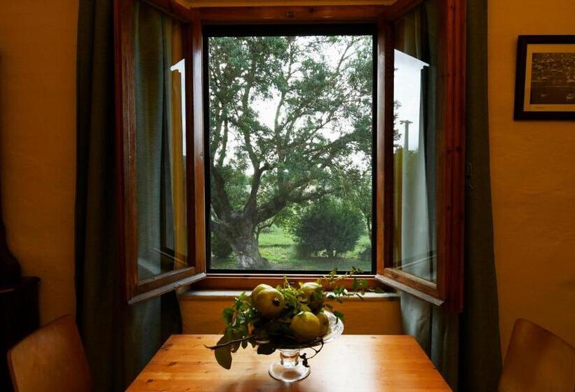 スタンダードルーム, Agriturismo Podere Il Leccio