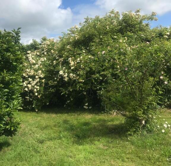 Номер Deluxe, Les Chambres D’hôtes De Rânes