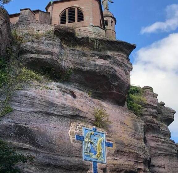 Номер Стандарт, B&b Bio