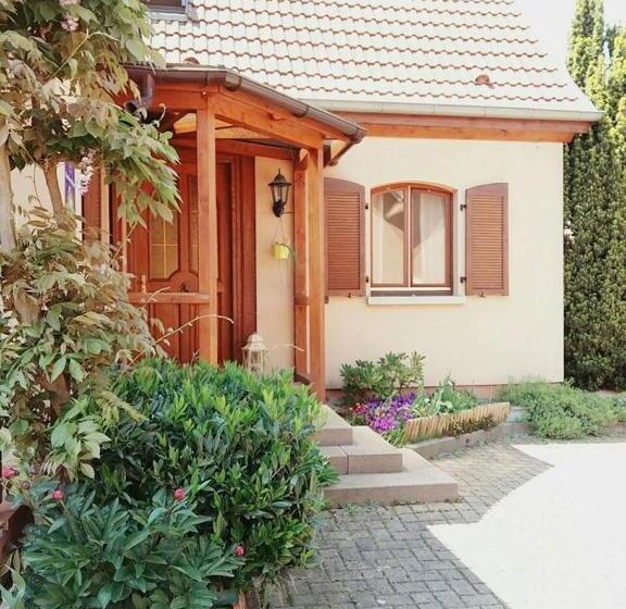 Номер Стандарт, B&b Bio