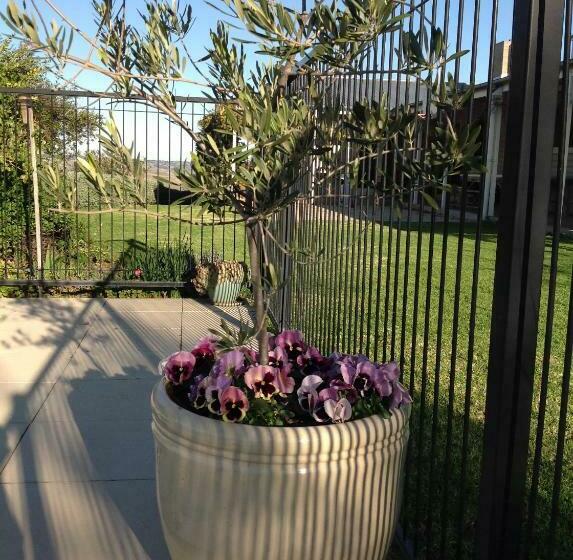 חדר דלוקס, Amazing Views Pet Friendly Bed And Breakfast