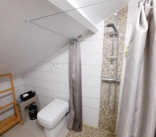 اتاق استاندارد تودرتو, Les Paridés