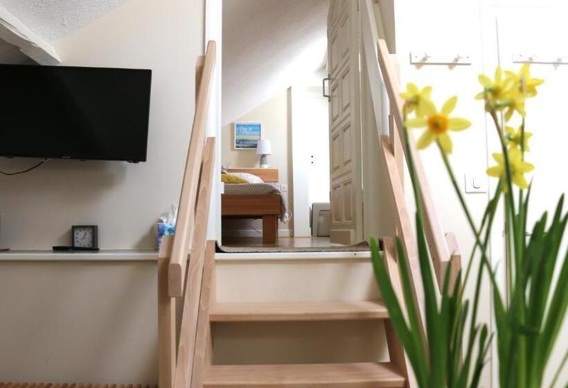 اتاق استاندارد تودرتو, Les Paridés