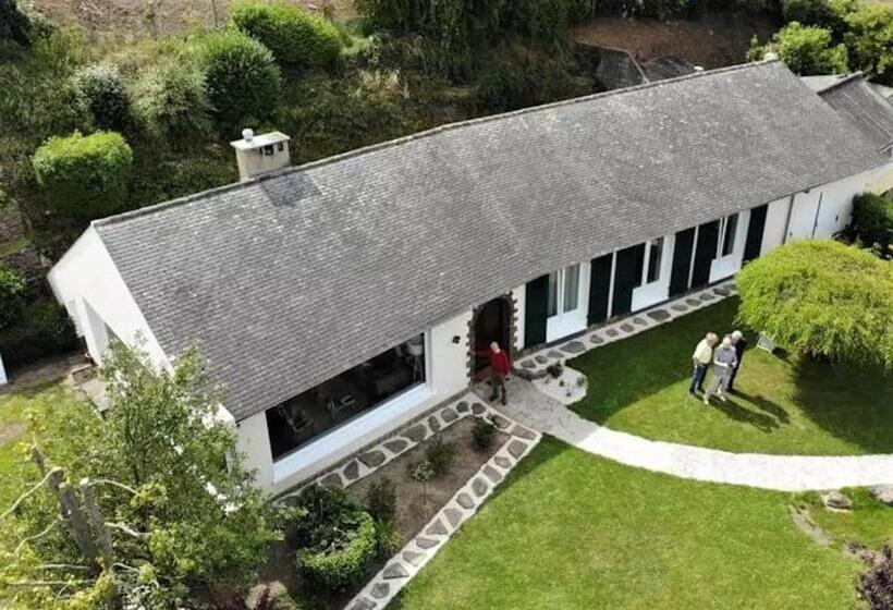 اتاق استاندارد تودرتو, Les Paridés