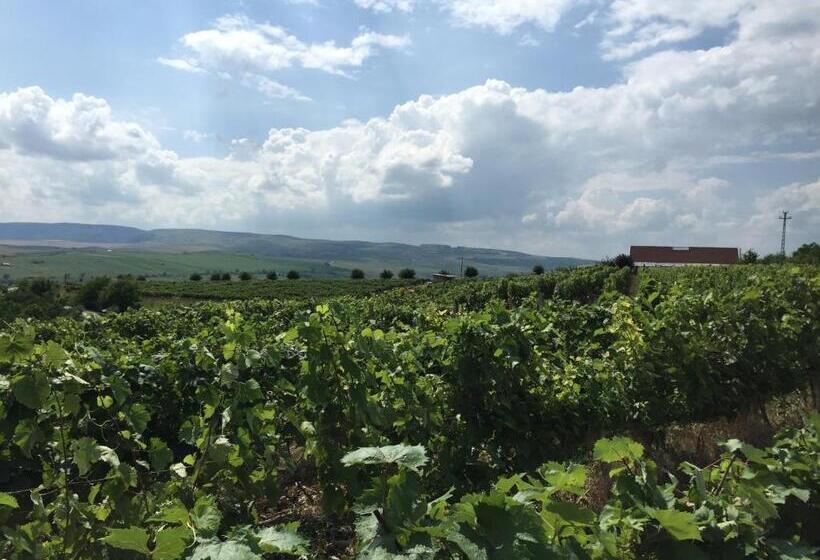 スタンダードルーム, Wineyards Salin