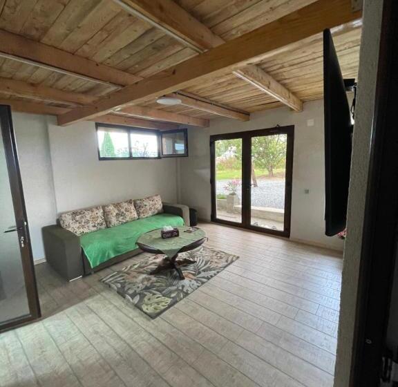 デラックススタジオ, Wineyards Salin