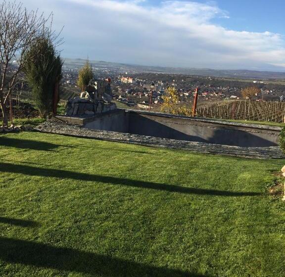 スタンダードルーム, Wineyards Salin