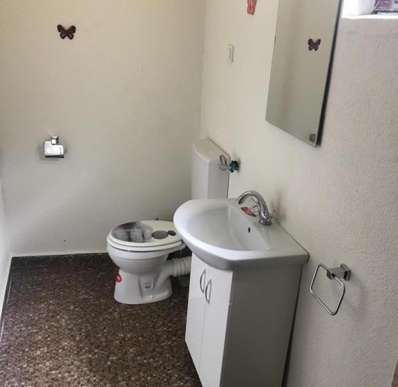 スタンダードルーム, Wineyards Salin