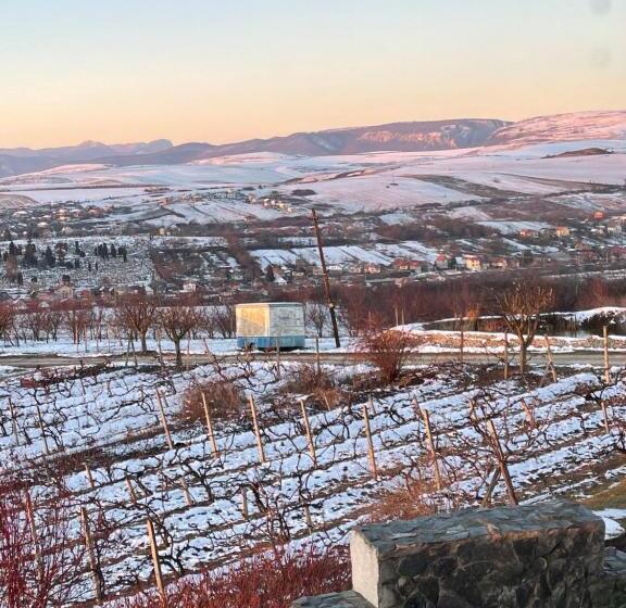 패밀리 룸, Wineyards Salin