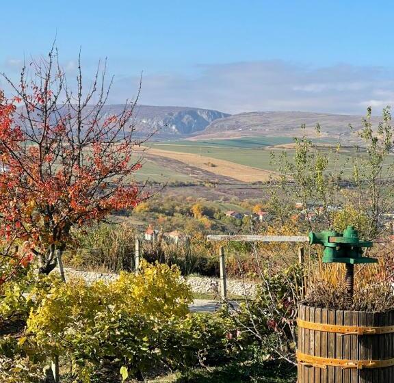 ファミリールーム, Wineyards Salin