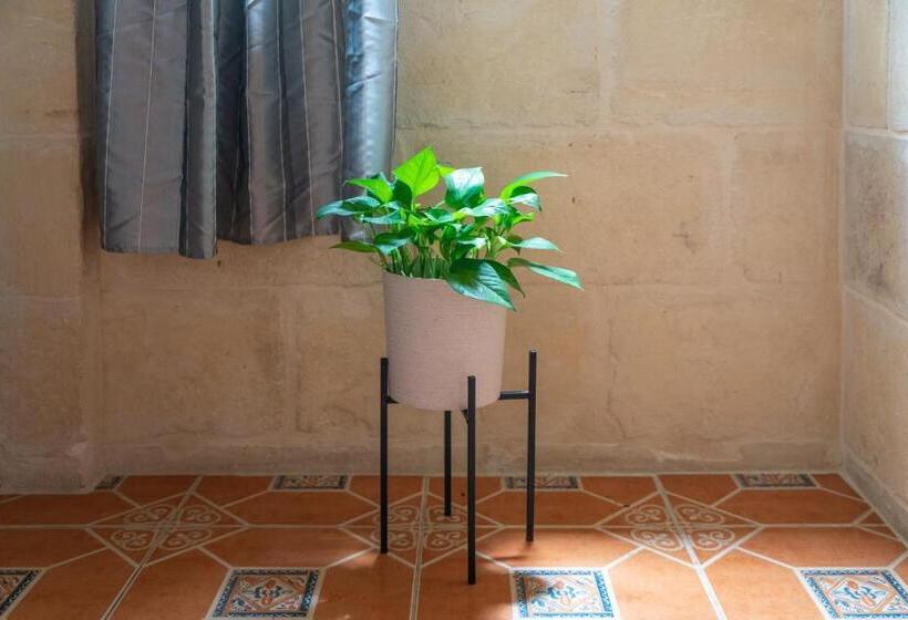 اتاق لوکس, Laremi Gozo B&b