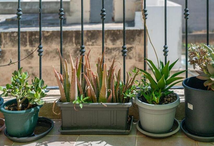 آپارتمان 1 خوابه با تراس, Laremi Gozo B&b