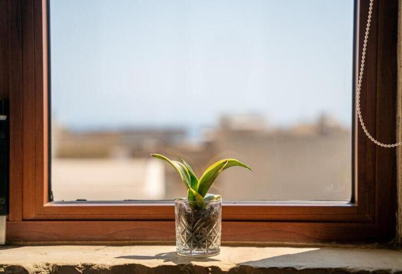 آپارتمان 1 خوابه با تراس, Laremi Gozo B&b