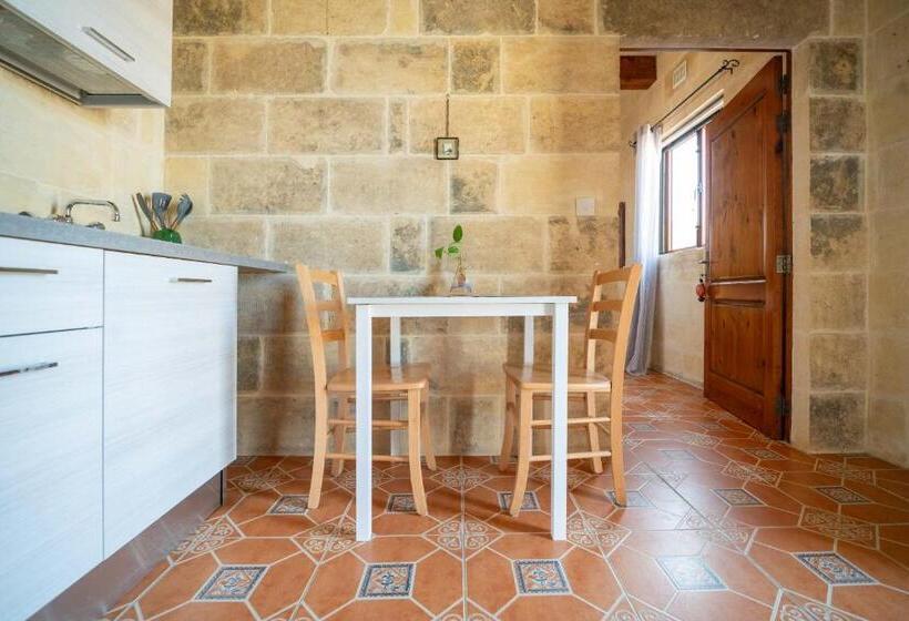 آپارتمان 1 خوابه با تراس, Laremi Gozo B&b