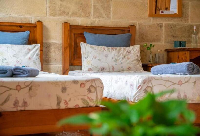 اتاق لوکس, Laremi Gozo B&b