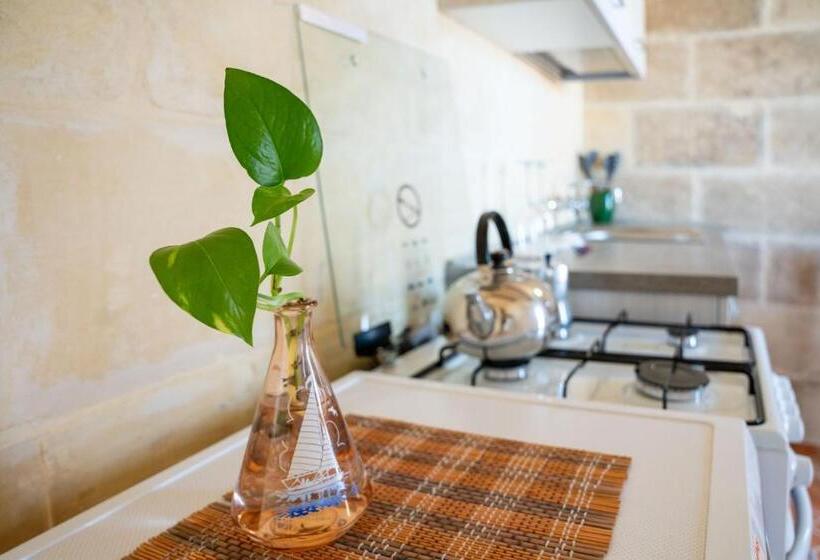 آپارتمان 1 خوابه با تراس, Laremi Gozo B&b