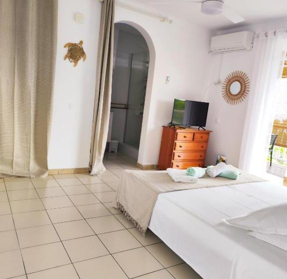 استودیوی استاندارد, Gite Mayo & Hylode S Song